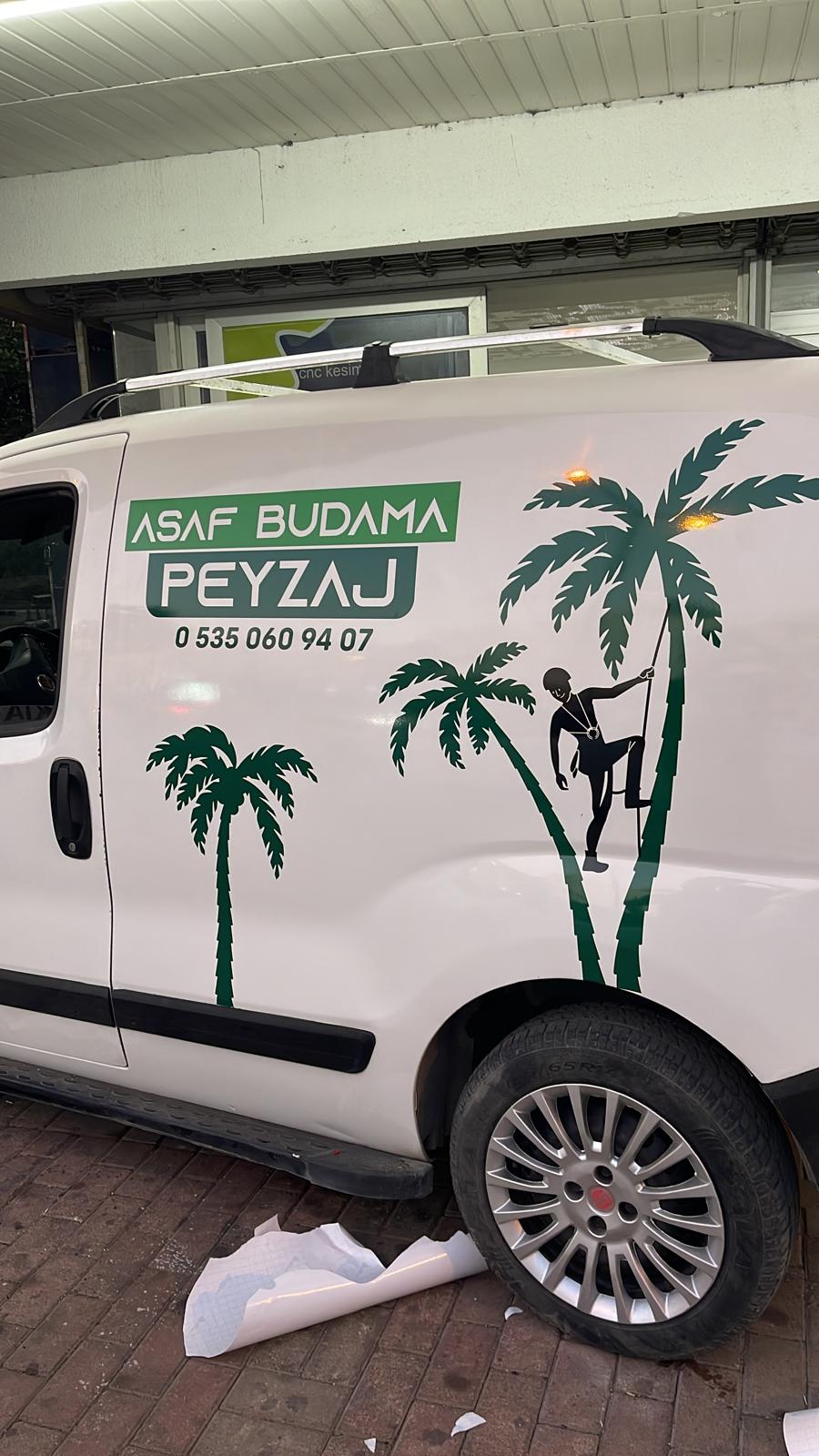 palmiye-agac-budama-fotograf (8) palmiye-agac-budama-fotograf (8)