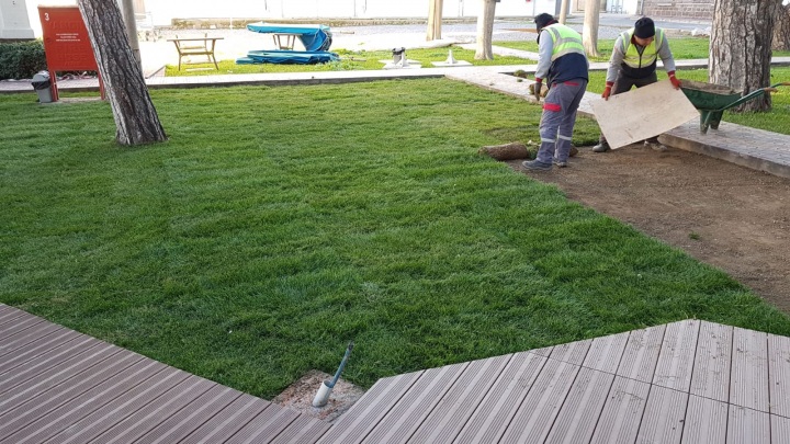 peyzaj-duzenleme-ve-bahce-bakimi